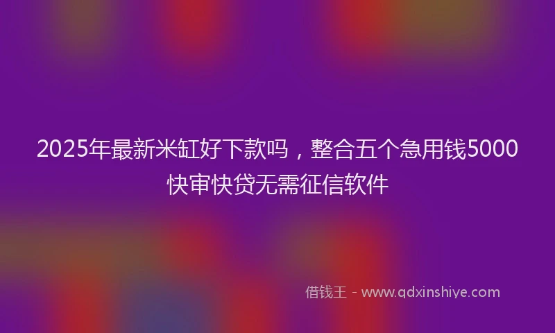 2025年最新米缸好下款吗，整合五个急用钱5000快审快贷无需征信软件