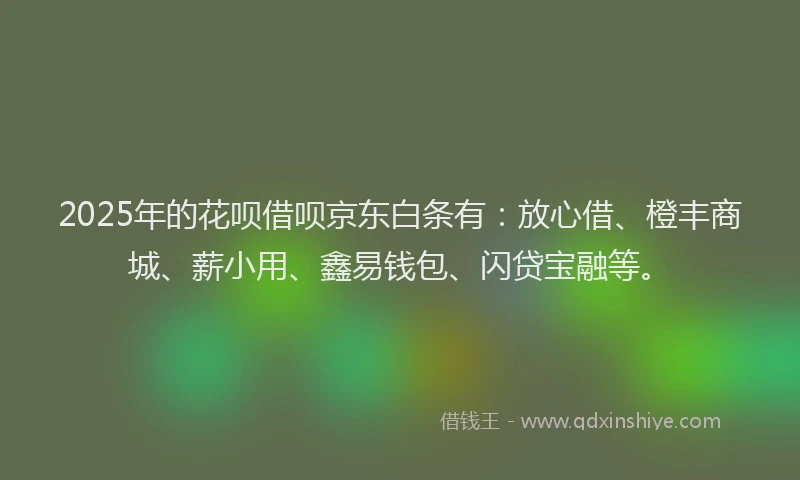 2025年的花呗借呗京东白条有：放心借、橙丰商城、薪小用、鑫易钱包、闪贷宝融等。