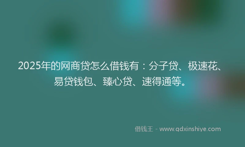 2025年的网商贷怎么借钱有：分子贷、极速花、易贷钱包、臻心贷、速得通等。