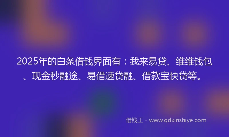 2025年的白条借钱界面有：我来易贷、维维钱包、现金秒融途、易借速贷融、借款宝快贷等。