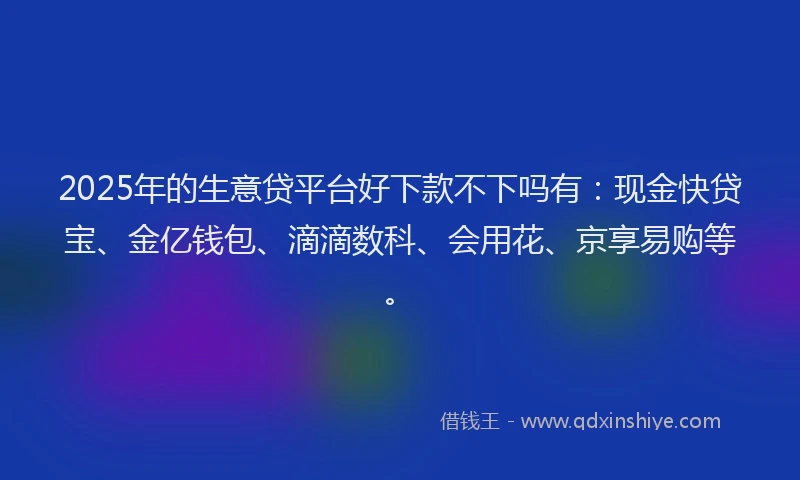2025年的生意贷平台好下款不下吗有：现金快贷宝、金亿钱包、滴滴数科、会用花、京享易购等。