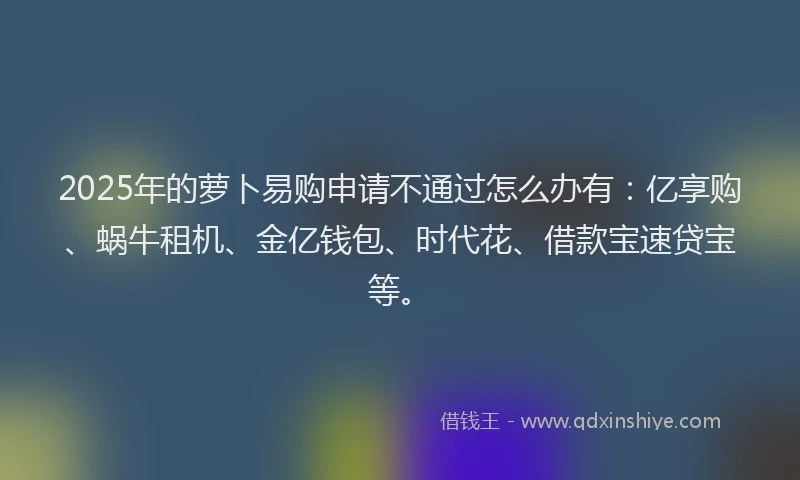 2025年的萝卜易购申请不通过怎么办有：亿享购、蜗牛租机、金亿钱包、时代花、借款宝速贷宝等。