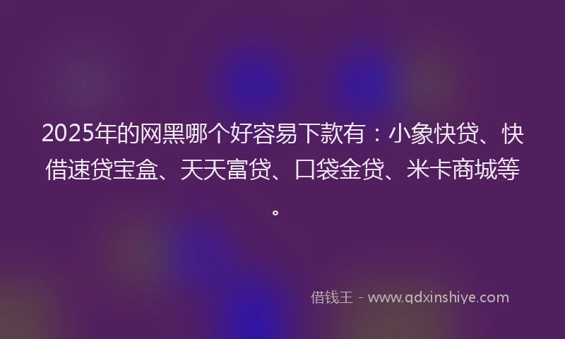 2025年的网黑哪个好容易下款有：小象快贷、快借速贷宝盒、天天富贷、口袋金贷、米卡商城等。