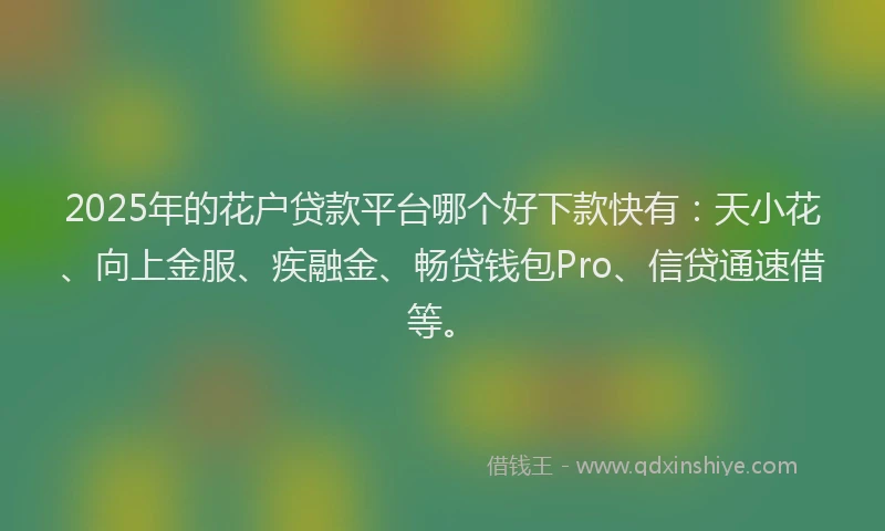 2025年的花户贷款平台哪个好下款快有：天小花、向上金服、疾融金、畅贷钱包Pro、信贷通速借等。