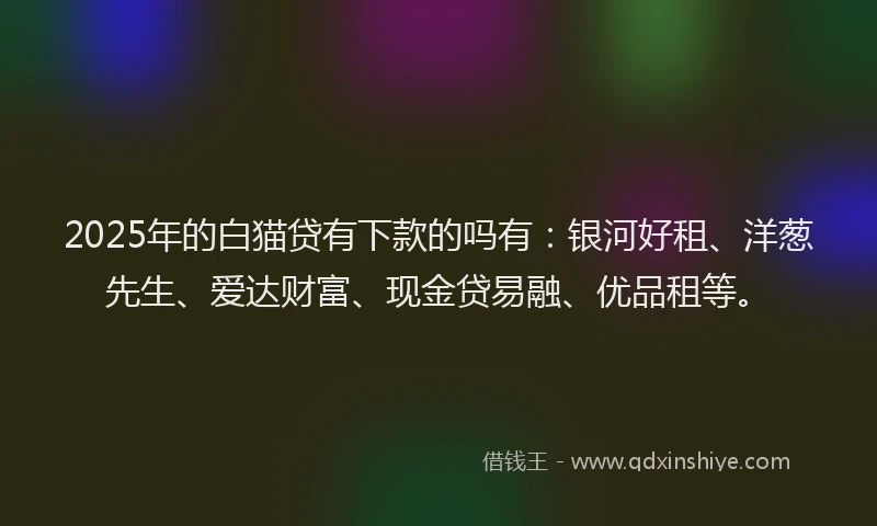 2025年的白猫贷有下款的吗有：银河好租、洋葱先生、爱达财富、现金贷易融、优品租等。