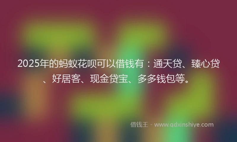2025年的蚂蚁花呗可以借钱有：通天贷、臻心贷、好居客、现金贷宝、多多钱包等。