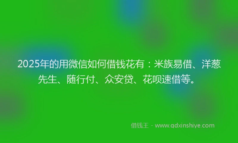 2025年的用微信如何借钱花有：米族易借、洋葱先生、随行付、众安贷、花呗速借等。