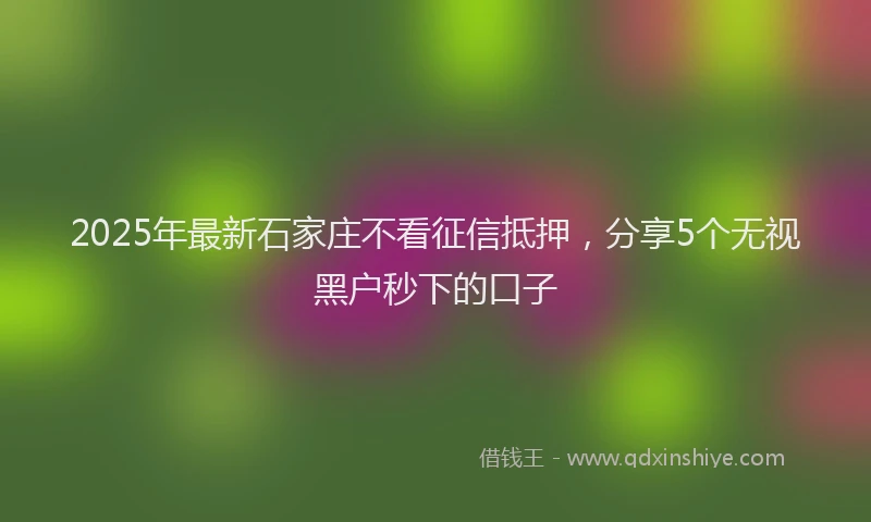 2025年最新石家庄不看征信抵押，分享5个无视黑户秒下的口子