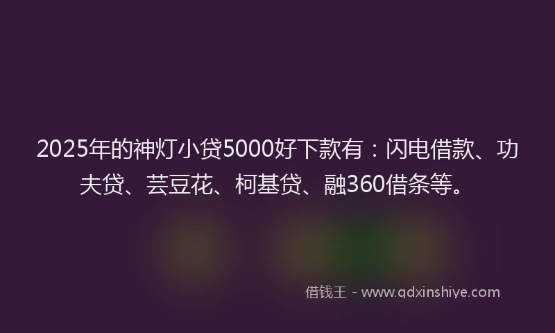 2025年的神灯小贷5000好下款有：闪电借款、功夫贷、芸豆花、柯基贷、融360借条等。