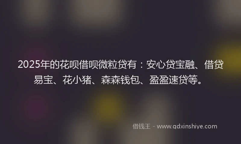 2025年的花呗借呗微粒贷有:安心贷宝融、借贷易宝、花小猪、森森钱包、盈盈速贷等。