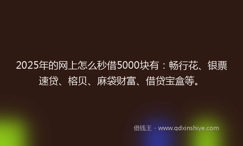 2025年的网上怎么秒借5000块有:畅行花、银票速贷、榕贝、麻袋财富、借贷宝盒等。