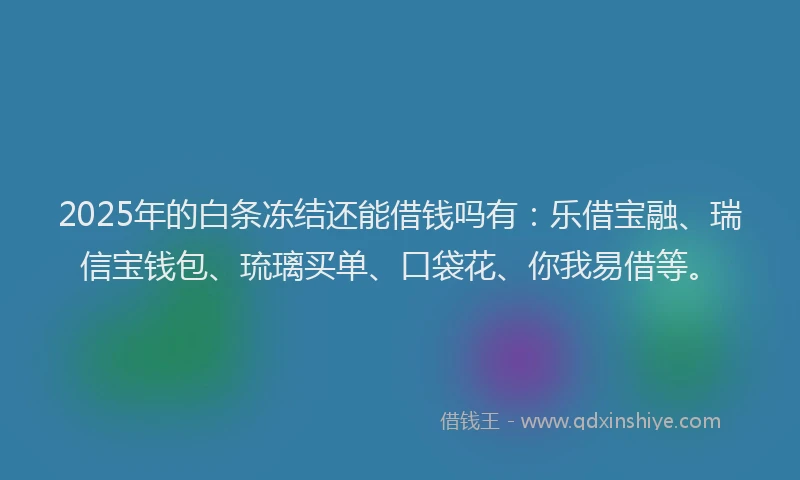 2025年的白条冻结还能借钱吗有：乐借宝融、瑞信宝钱包、琉璃买单、口袋花、你我易借等。