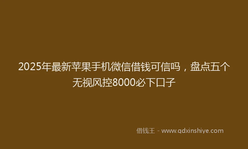 2025年最新苹果手机微信借钱可信吗，盘点五个无视风控8000必下口子
