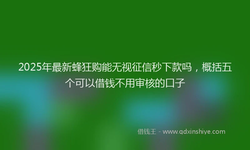 2025年最新蜂狂购能无视征信秒下款吗，概括五个可以借钱不用审核的口子