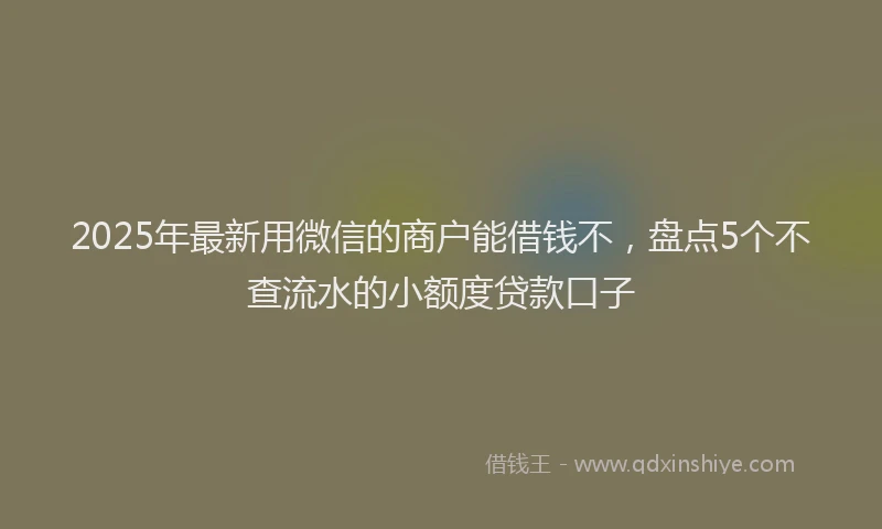 2025年最新用微信的商户能借钱不，盘点5个不查流水的小额度贷款口子