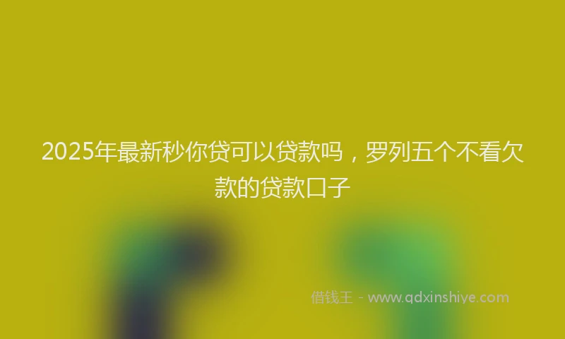 2025年最新秒你贷可以贷款吗，罗列五个不看欠款的贷款口子