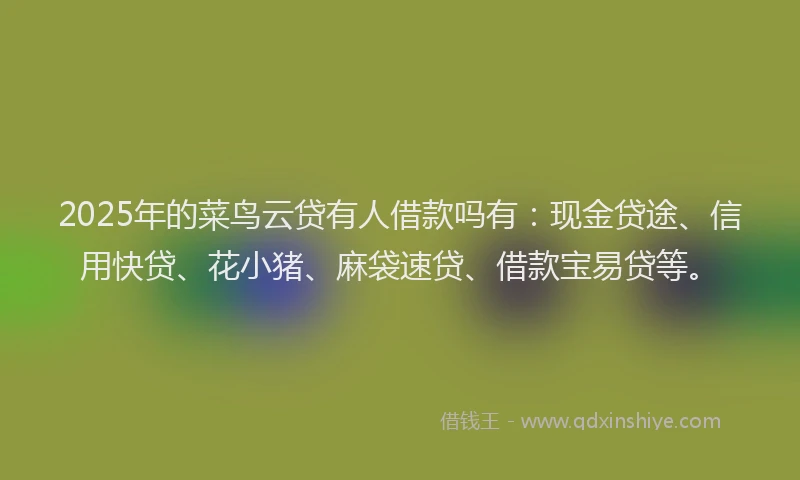 2025年的菜鸟云贷有人借款吗有：现金贷途、信用快贷、花小猪、麻袋速贷、借款宝易贷等。