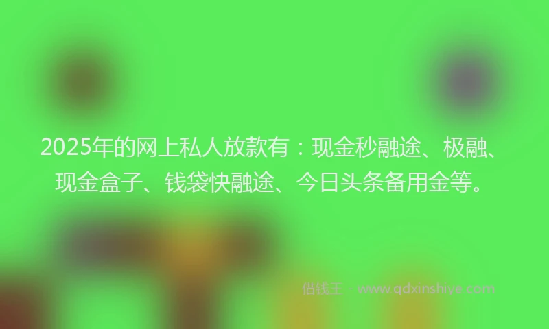 2025年的网上私人放款有：现金秒融途、极融、现金盒子、钱袋快融途、今日头条备用金等。