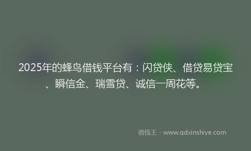2025年的蜂鸟借钱平台有：闪贷侠、借贷易贷宝、瞬信金、瑞雪贷、诚信一周花等。