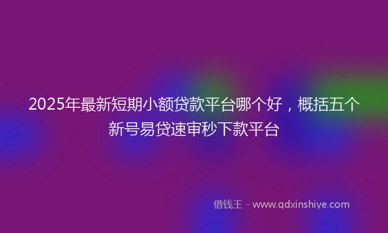 2025年最新短期小额贷款平台哪个好，概括五个新号易贷速审秒下款平台