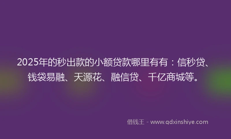 2025年的秒出款的小额贷款哪里有有：信秒贷、钱袋易融、天源花、融信贷、千亿商城等。