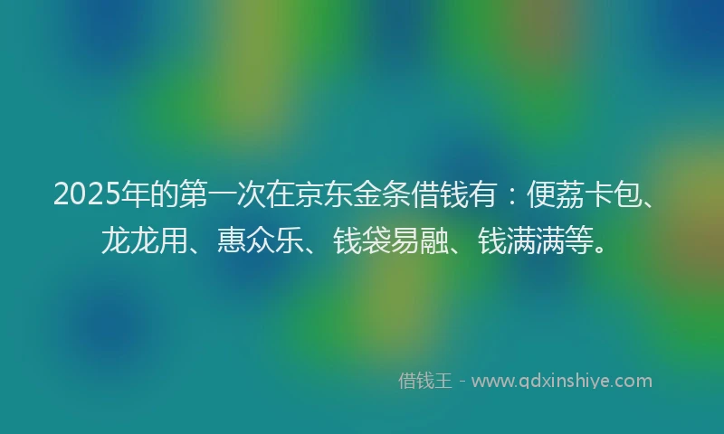 2025年的第一次在京东金条借钱有：便荔卡包、龙龙用、惠众乐、钱袋易融、钱满满等。