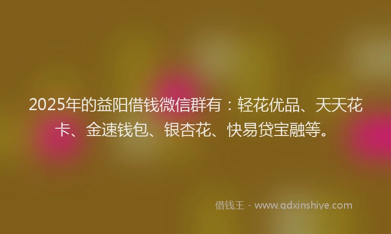 2025年的益阳借钱微信群有：轻花优品、天天花卡、金速钱包、银杏花、快易贷宝融等。
