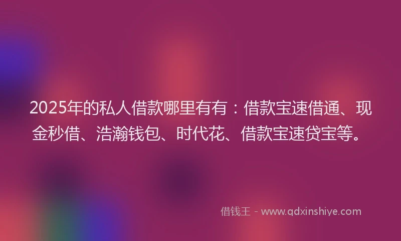 2025年的私人借款哪里有有：借款宝速借通、现金秒借、浩瀚钱包、时代花、借款宝速贷宝等。