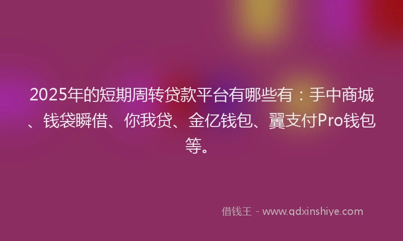 2025年的短期周转贷款平台有哪些有：手中商城、钱袋瞬借、你我贷、金亿钱包、翼支付Pro钱包等。