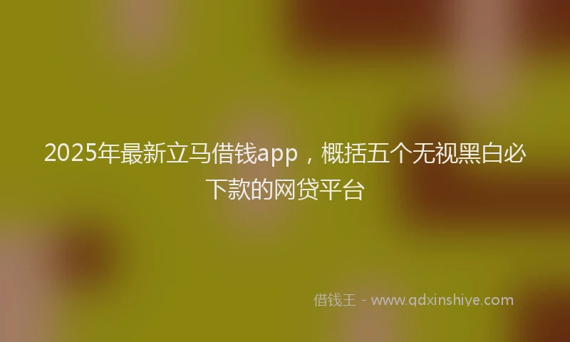 2025年最新立马借钱app，概括五个无视黑白必下款的网贷平台