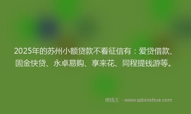 2025年的苏州小额贷款不看征信有：爱贷借款、固金快贷、永卓易购、享来花、同程提钱游等。