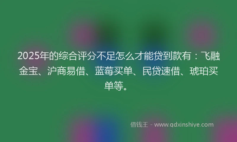 2025年的综合评分不足怎么才能贷到款有：飞融金宝、沪商易借、蓝莓买单、民贷速借、琥珀买单等。