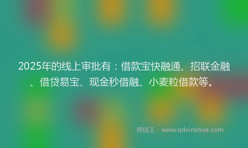 2025年的线上审批有：借款宝快融通、招联金融、借贷易宝、现金秒借融、小麦粒借款等。