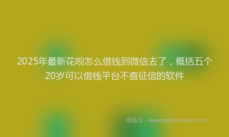 2025年最新花呗怎么借钱到微信去了，概括五个20岁可以借钱平台不查征信的软件