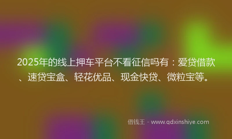 2025年的线上押车平台不看征信吗有：爱贷借款、速贷宝盒、轻花优品、现金快贷、微粒宝等。
