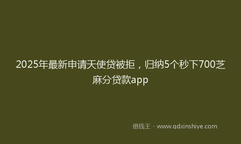 2025年最新申请天使贷被拒，归纳5个秒下700芝麻分贷款app