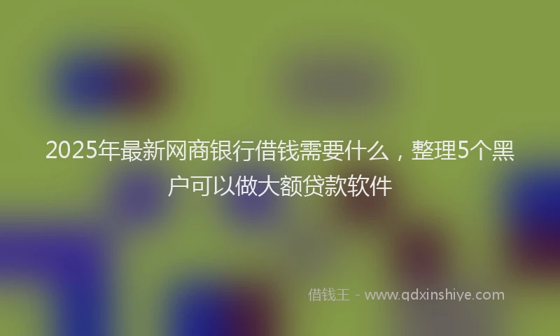 2025年最新网商银行借钱需要什么，整理5个黑户可以做大额贷款软件