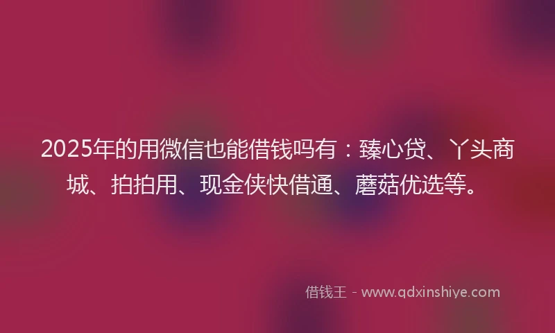 2025年的用微信也能借钱吗有：臻心贷、丫头商城、拍拍用、现金侠快借通、蘑菇优选等。