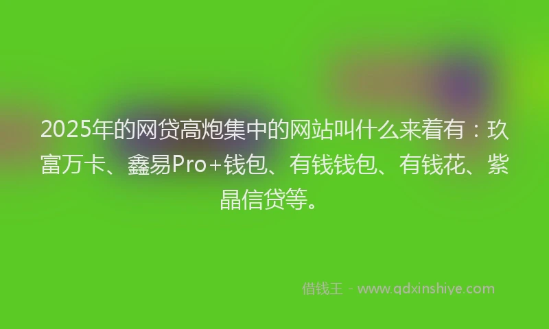 2025年的网贷高炮集中的网站叫什么来着有：玖富万卡、鑫易Pro+钱包、有钱钱包、有钱花、紫晶信贷等。
