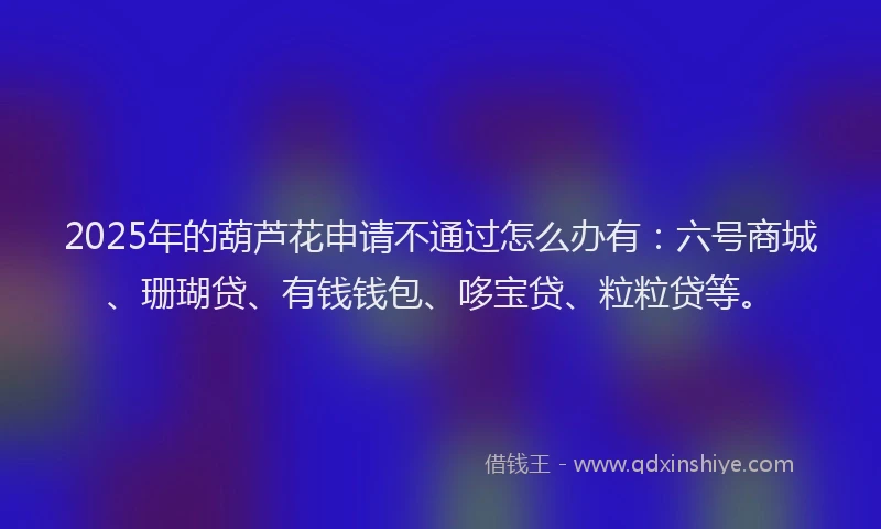 2025年的葫芦花申请不通过怎么办有：六号商城、珊瑚贷、有钱钱包、哆宝贷、粒粒贷等。