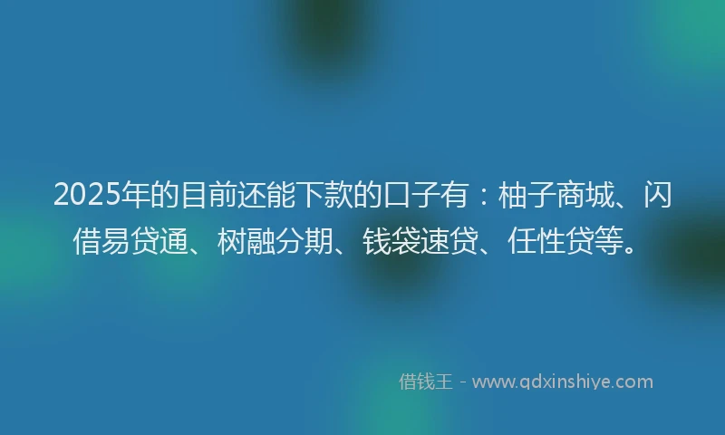 2025年的目前还能下款的口子有：柚子商城、闪借易贷通、树融分期、钱袋速贷、任性贷等。