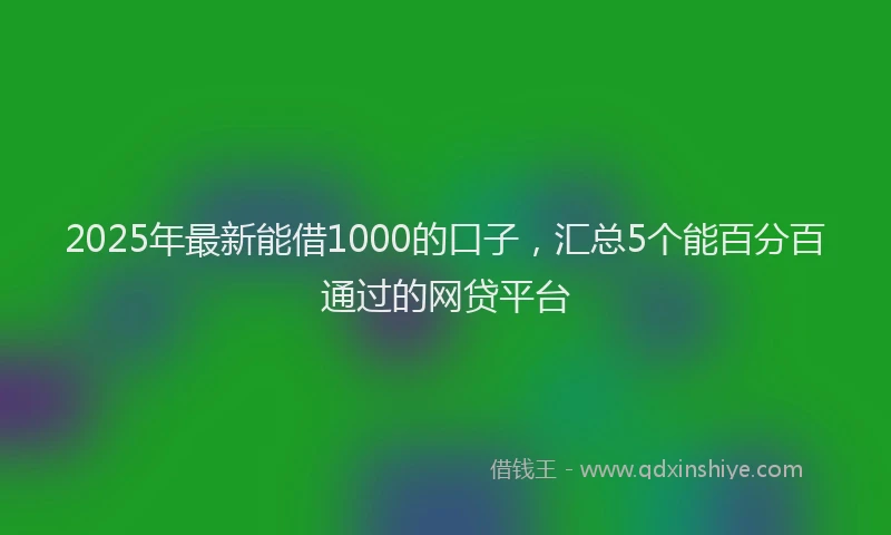 2025年最新能借1000的口子，汇总5个能百分百通过的网贷平台