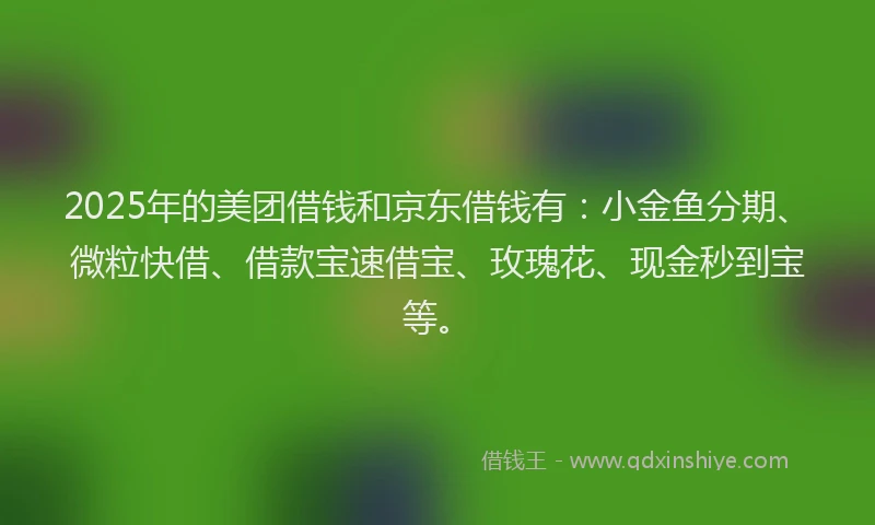 2025年的美团借钱和京东借钱有：小金鱼分期、微粒快借、借款宝速借宝、玫瑰花、现金秒到宝等。