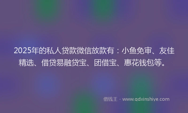 2025年的私人贷款微信放款有：小鱼免审、友佳精选、借贷易融贷宝、团借宝、惠花钱包等。