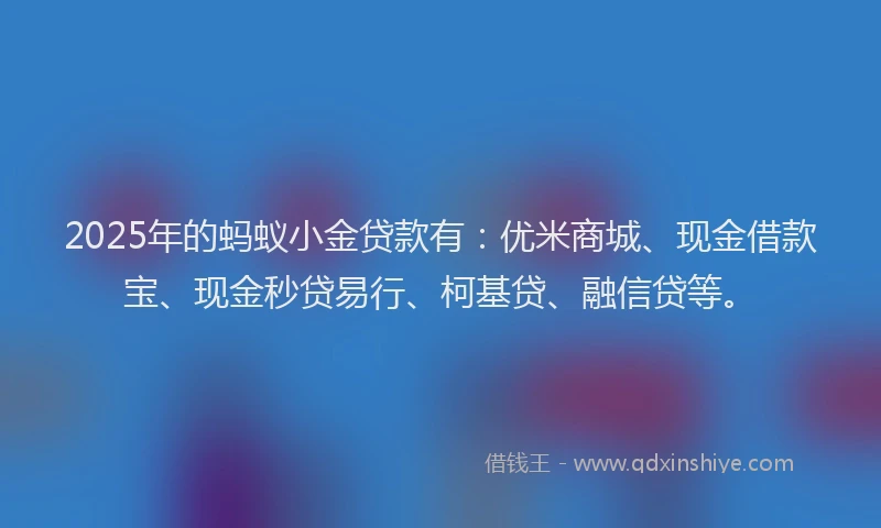 2025年的蚂蚁小金贷款有：优米商城、现金借款宝、现金秒贷易行、柯基贷、融信贷等。