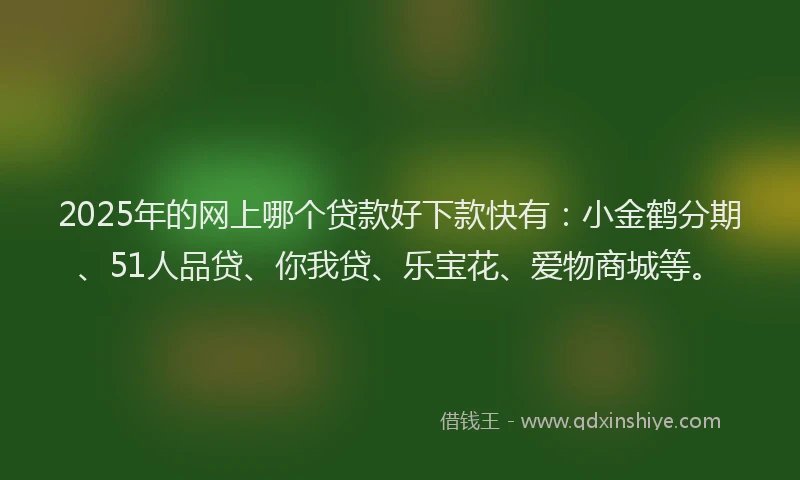 2025年的网上哪个贷款好下款快有：小金鹤分期、51人品贷、你我贷、乐宝花、爱物商城等。