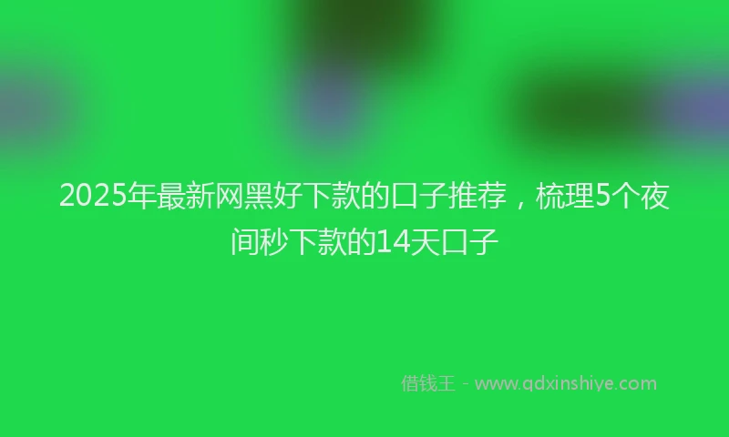 2025年最新网黑好下款的口子推荐，梳理5个夜间秒下款的14天口子