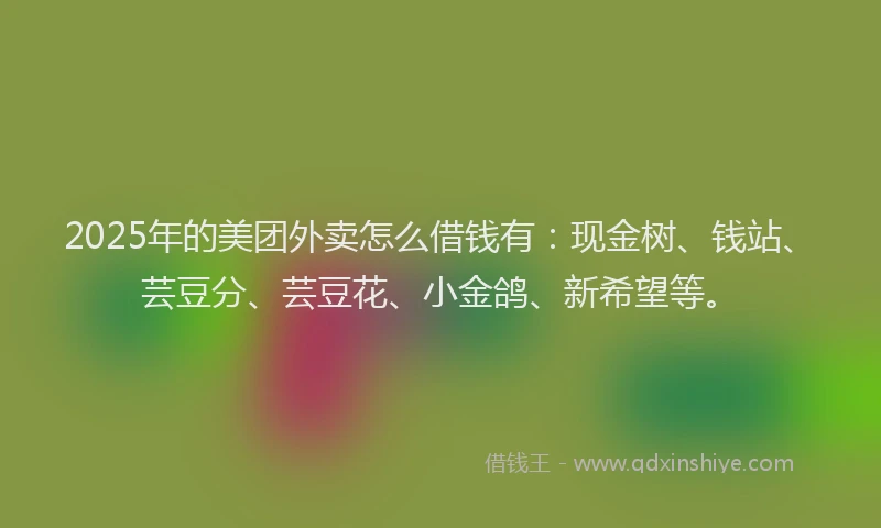 2025年的美团外卖怎么借钱有:现金树、钱站、芸豆分、芸豆花、小金鸽、新希望等。