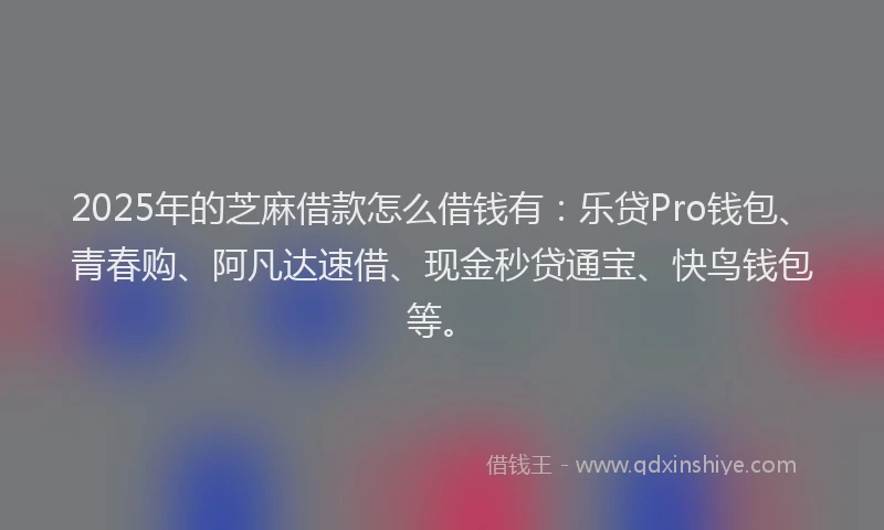 2025年的芝麻借款怎么借钱有：乐贷Pro钱包、青春购、阿凡达速借、现金秒贷通宝、快鸟钱包等。