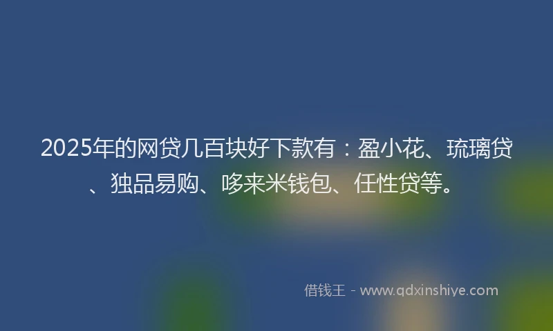 2025年的网贷几百块好下款有：盈小花、琉璃贷、独品易购、哆来米钱包、任性贷等。